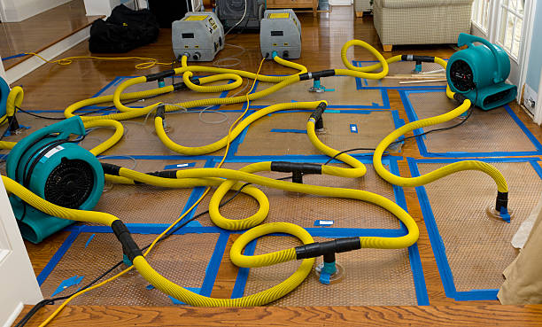 Professional Sewage Cleanup technician working in Newton, NC